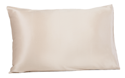 25mm Pure Mulberry Silk Pillowcase