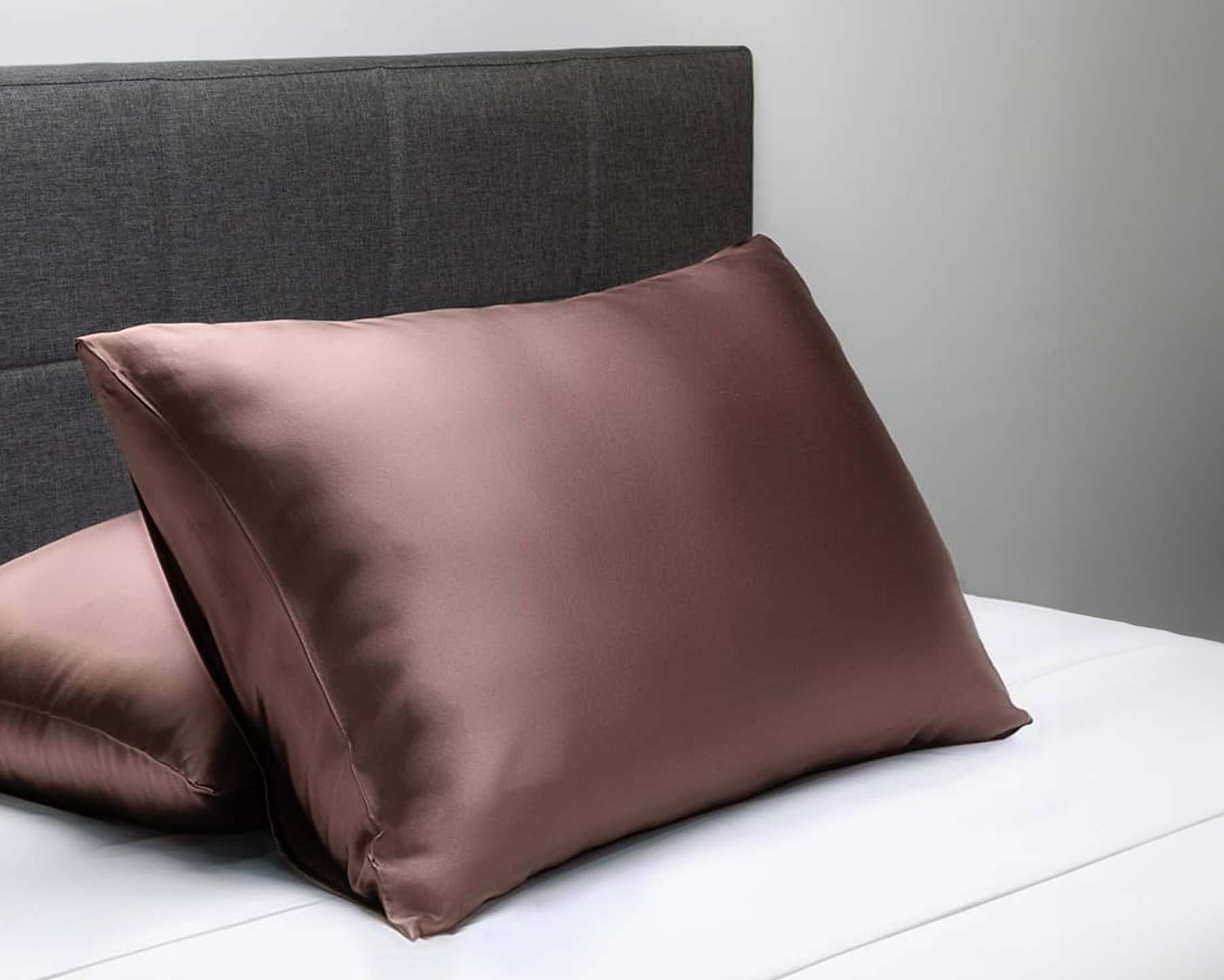 New Silk Pillowcase Color: Chocolate