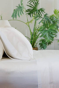 Signature 100% Certified Egyptian Cotton Pillowcases with Gift Box Home>Bedding>Pillowcase Fishers Finery 