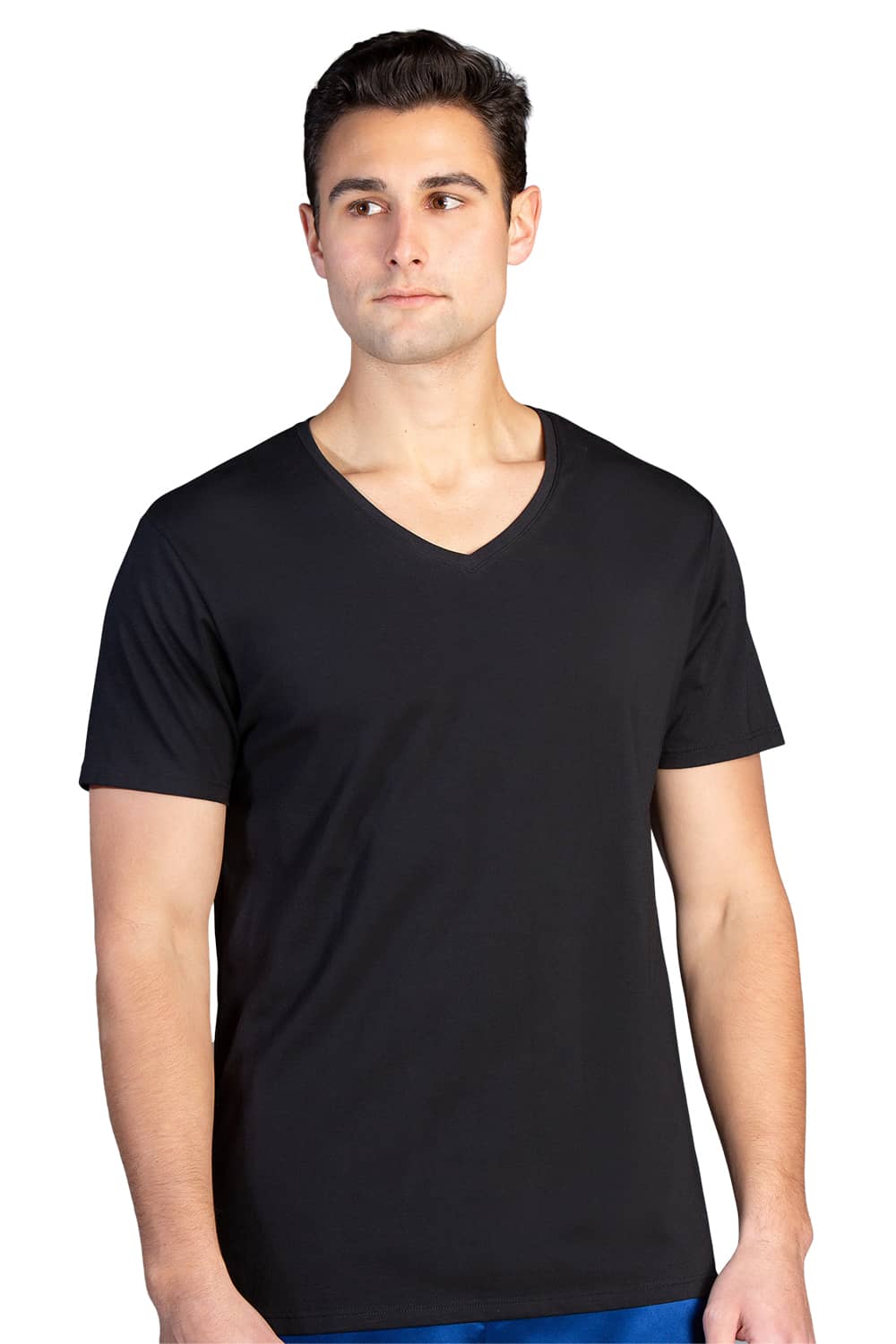Men&#39;s Classic Fit Soft Stretch V-Neck Undershirt Mens&gt;Casual&gt;Tops Fishers Finery Black Small Single Pack