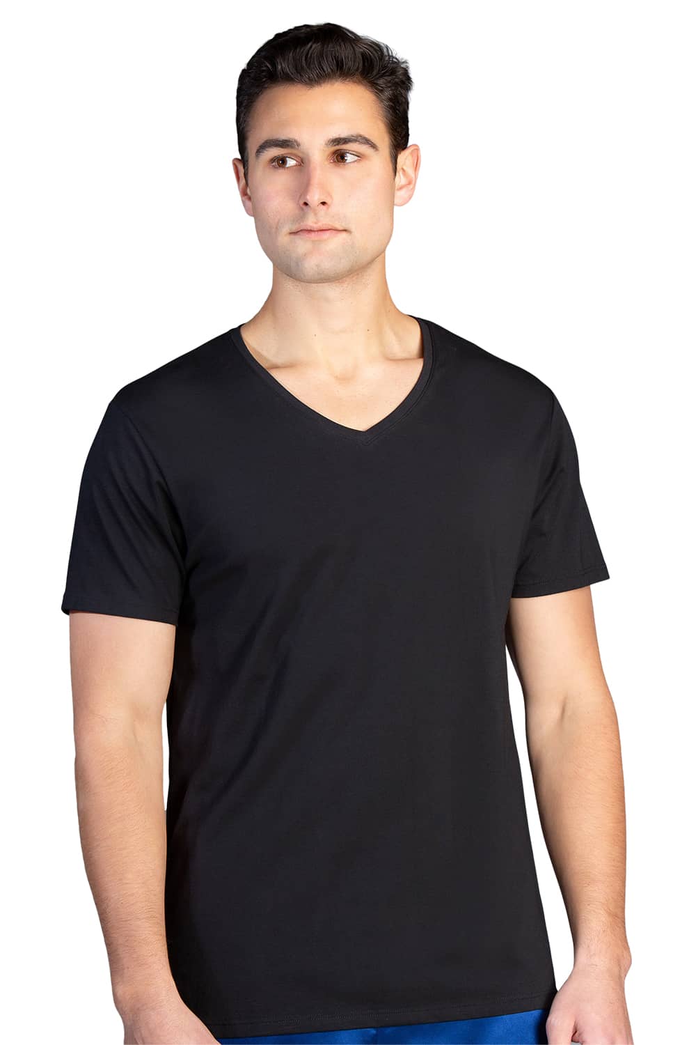 Men's TShirts Classic Fit Casual VNeck Undershirt Fishers Finery